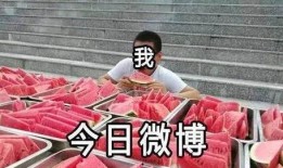 在线吃瓜观众,吃瓜群众的狂欢盛宴