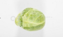 吃瓜资料简介,一场全民娱乐的盛宴