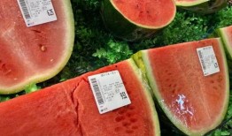 早上快乐吃瓜,快乐开启美好一天