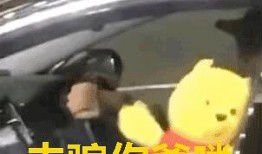 吃瓜人脉,揭秘社交圈中的秘密力量