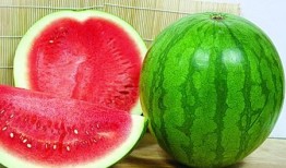 无手瓜可以吃吗,揭秘其食用安全与营养价值