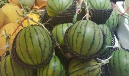 海南哪里吃瓜好,探寻海南最佳吃瓜胜地