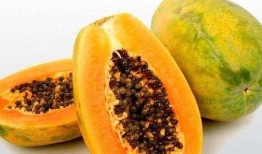 梦见在野外的瓜里吃瓜,野外瓜果盛宴，揭秘梦境中的瓜里吃瓜之谜