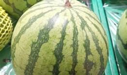 大瓜都在吃吗,全民皆知的秘密，都在这里揭秘