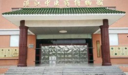 湛江中医吃瓜,吃瓜养生，古法新解健康生活之道