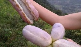 网购的八月瓜怎么吃,轻松解锁美味新食法