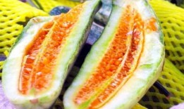 网暴热门吃瓜,揭秘热门事件背后的真相与反思